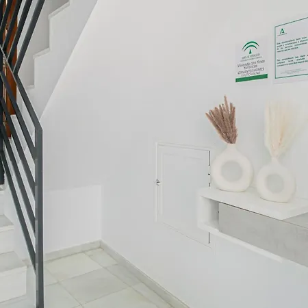 Cervantes Homes No2 Conil De La Frontera