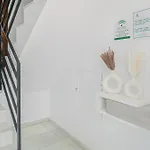 Cervantes Homes No2 Кониль-де-ла-Фронтера